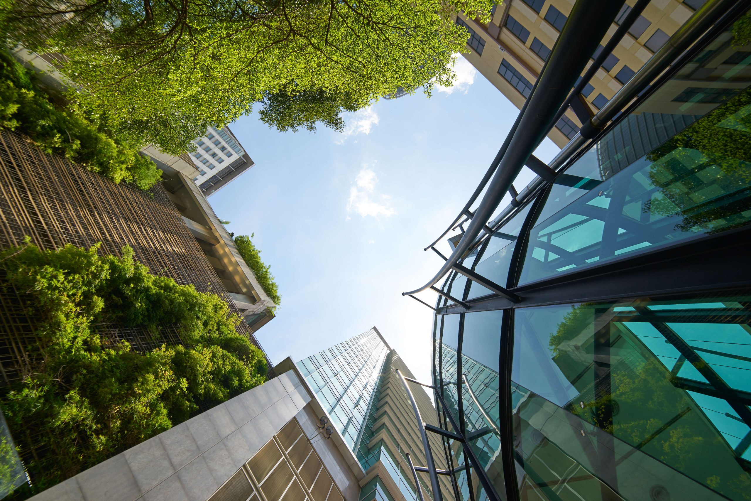 Worm's eye view of glass buildings, trees and blue sky